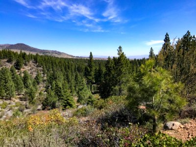 Hiking trail in the Sierra Nevada in Nevada