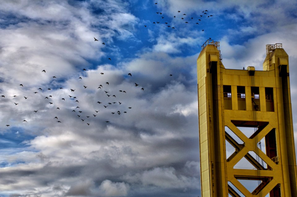 Tower Bridge5 2017-01-12