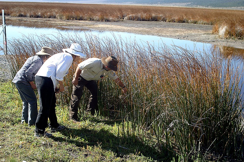 Ruby Lake National Wildlife Refuge Staff