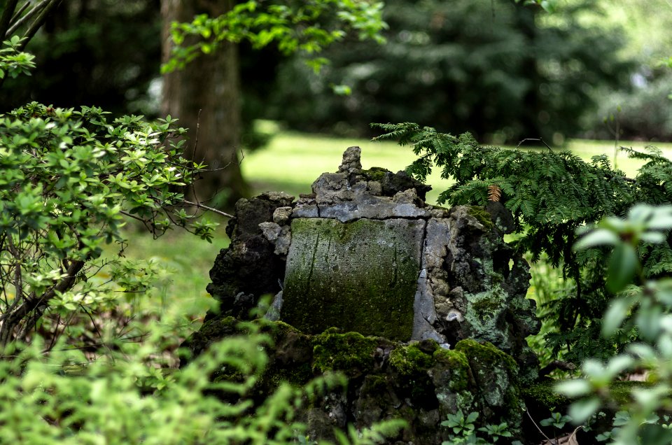 decayed tomb stone