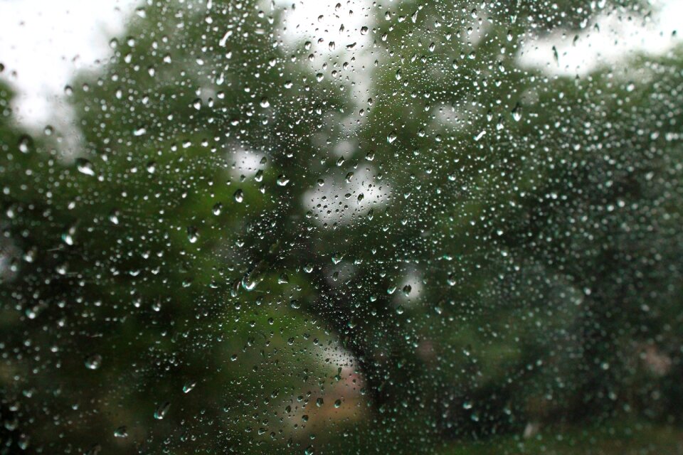Water raindrops rainy