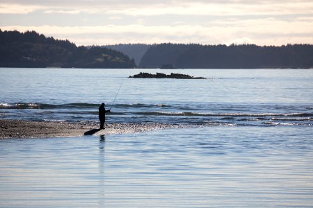 Fishing the mouth