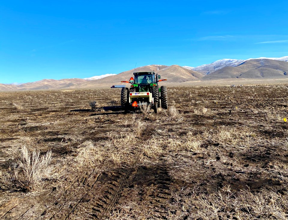 Planting native seeds after Sheep Canyon Fire