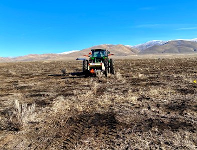 Planting native seeds after Sheep Canyon Fire