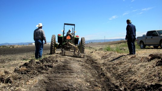 Grassed filter strip construction on Watsonville Slough Farm. photo