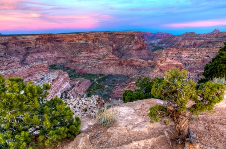 Wedge Overlook