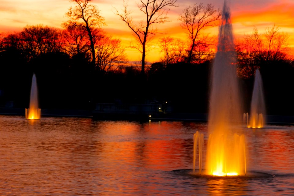 Forest Park 2012 098