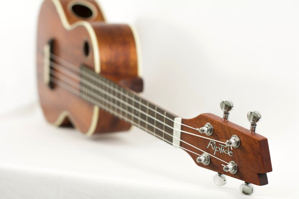 String acoustic wood