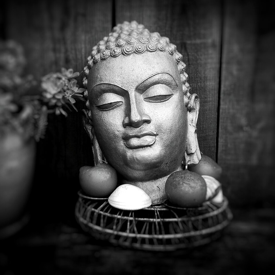 Buddha shell zen