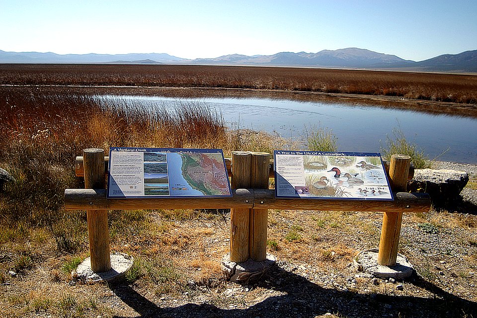 Main Boat Launch Ruby Lake National Wildlife Refuge