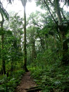 GOOMBURRA NATIONAL PARK