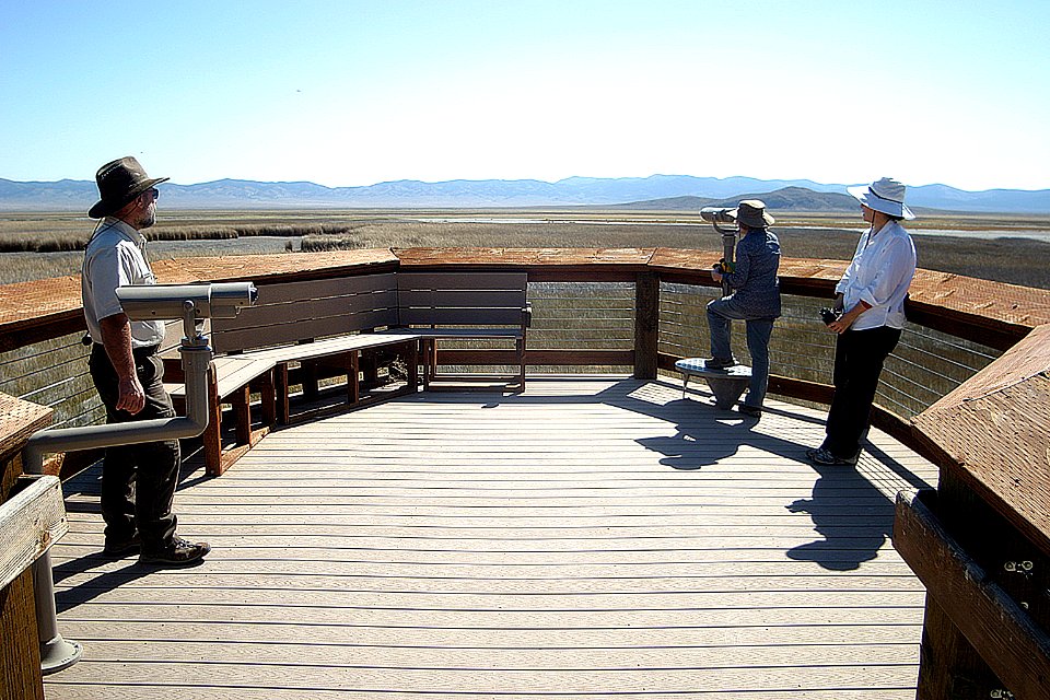 Viewing Platform at the Narciss Boat Landing
