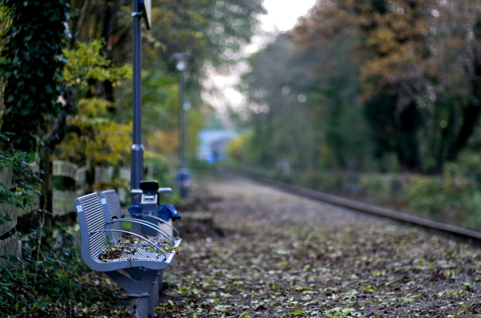 I guess, no train is coming...
