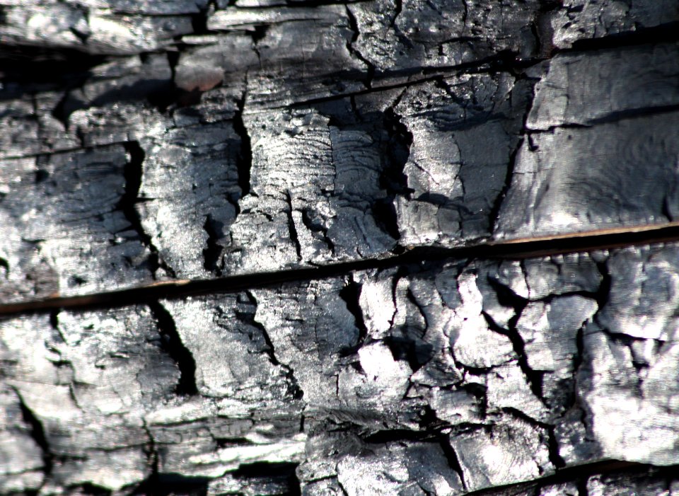 Patterns, Textures and Designs Entry