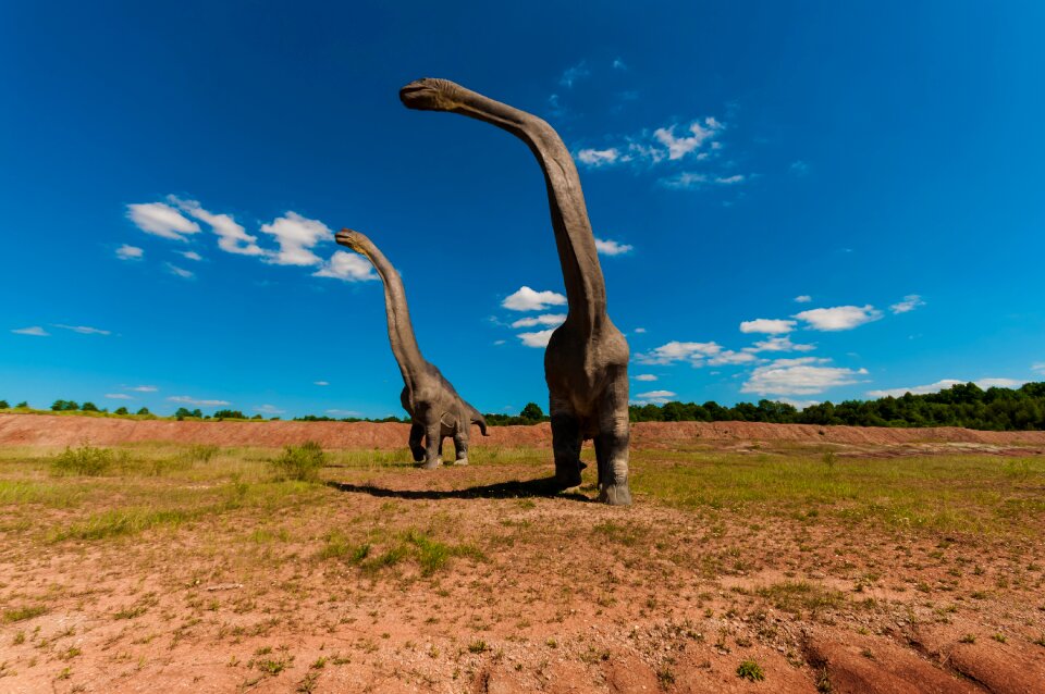 Dino extinct model