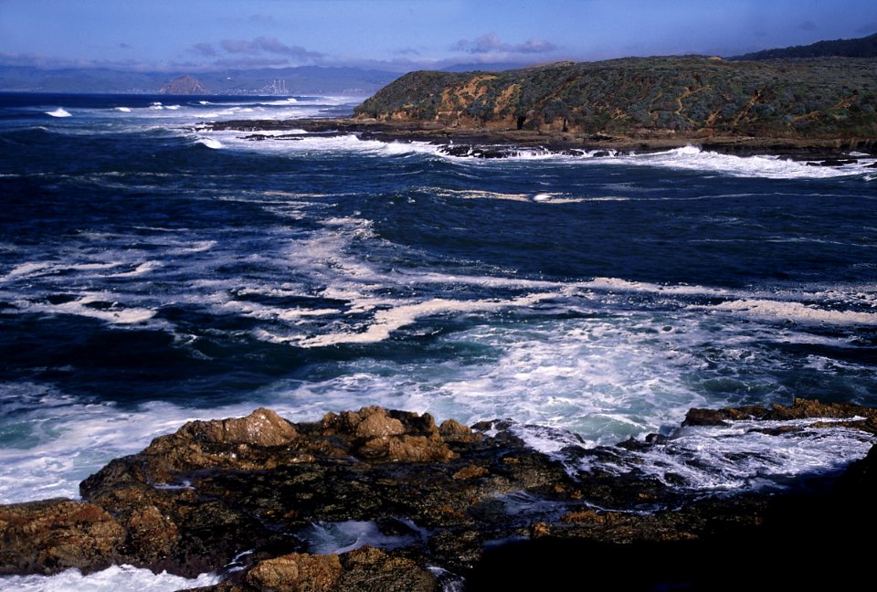 MONTANA DE ORO STATE PARK -007 photo