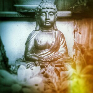 Zen meditation buddha photo