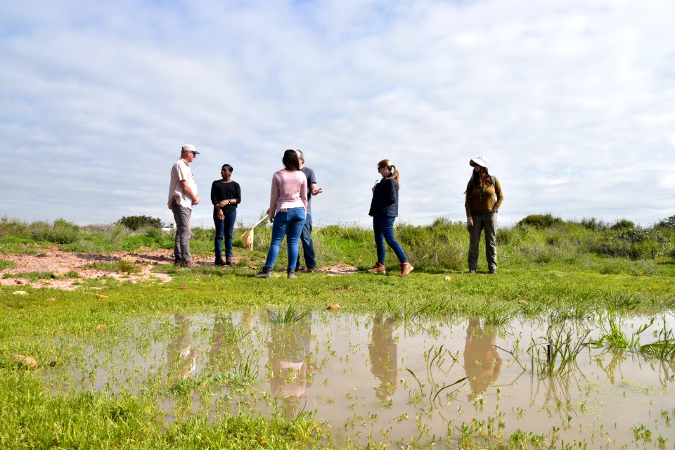 Vernal pool site in Otay Mesa, California