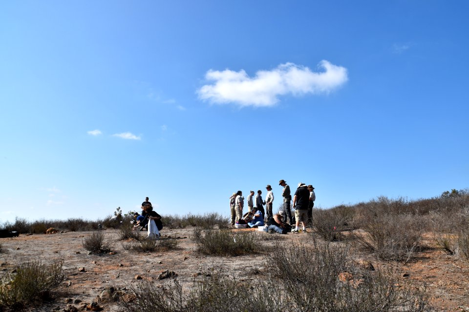 The larvae release site at San Diego National Wildlife Refuge