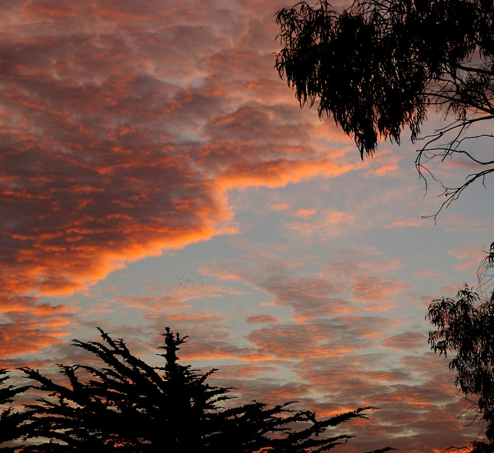 Morro Bay State Park