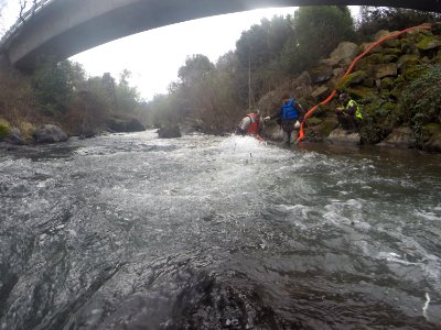 Winter-run juvenile release into Battle Creek