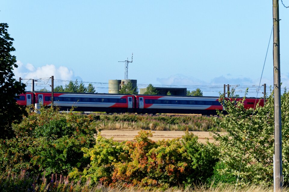 High speed train transport trees