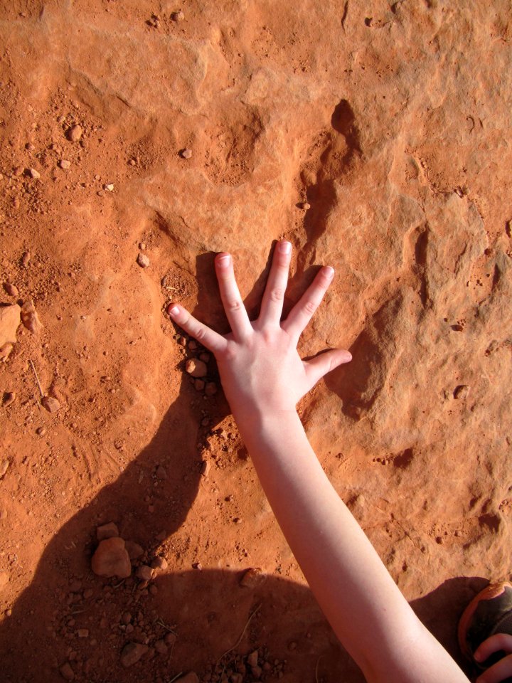 Dinosaur Track