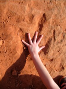 Dinosaur Track