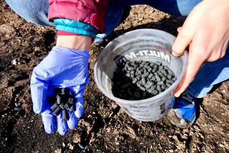 Herbicide protection pods filled native seeds used on the Martin fire