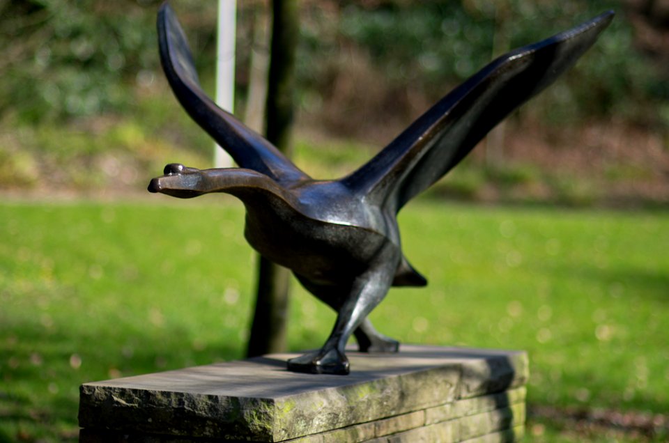 20110327-IMGP7316