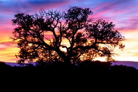 San Rafael Swell and Canyon - Wedgepanel