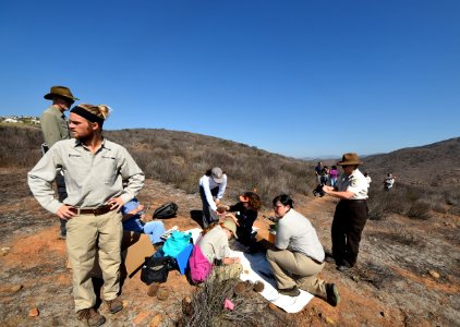 Releasing Quino checkerspot butterfly larvae in San Diego County