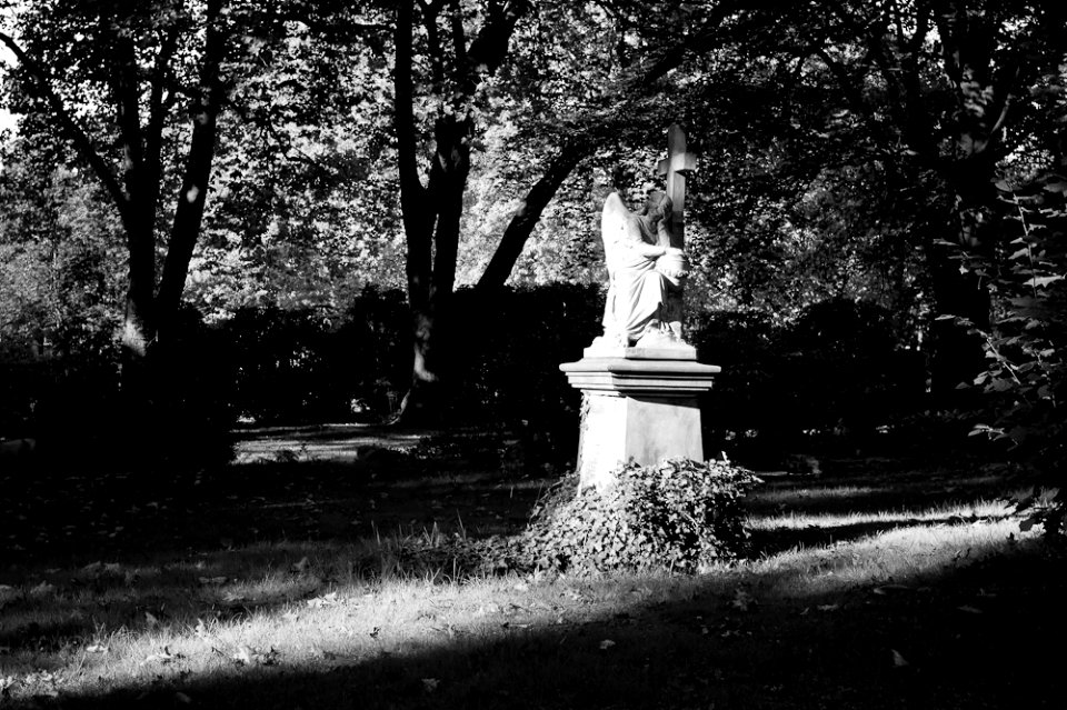 Neulich auf dem Friedhof photo