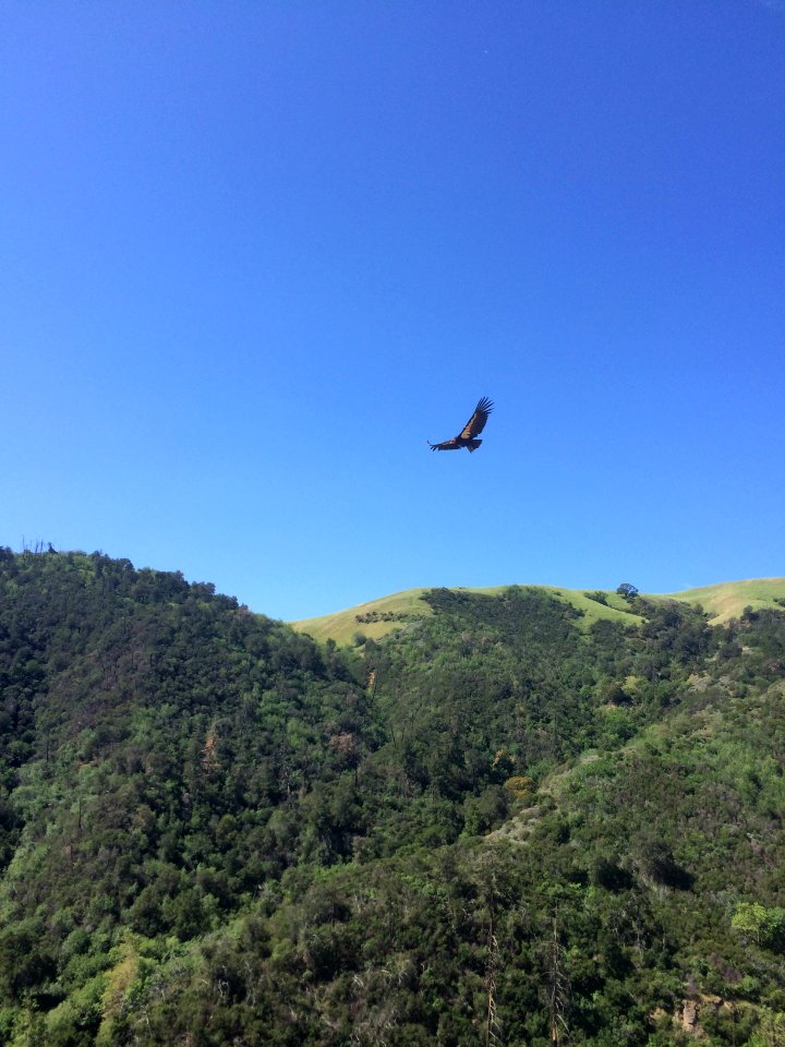 Flying nearby
