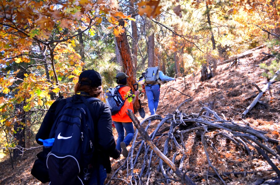 San Bernardino National Forest