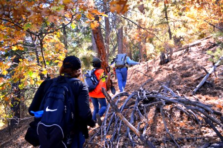 San Bernardino National Forest