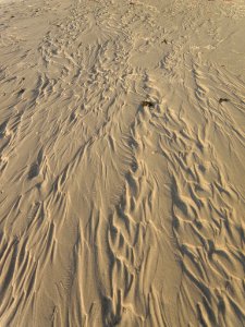 CALOUNDRA CAMPING