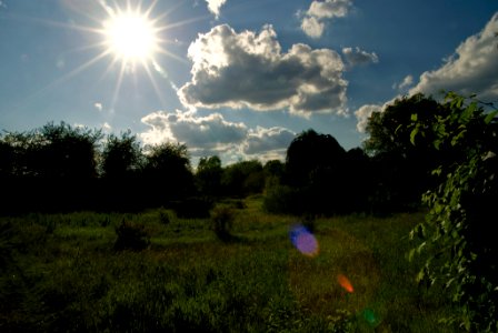 Habe ja so einen Faible für Gegenlicht photo