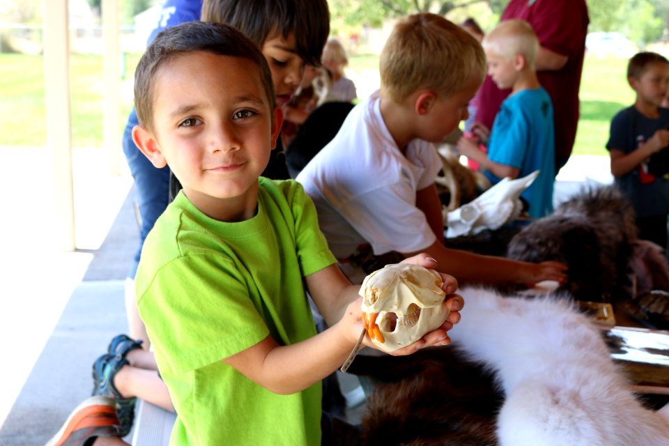 Big Water Skull Display