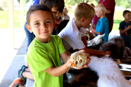 Big Water Skull Display
