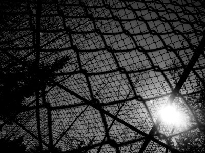 The Longing for Freedom