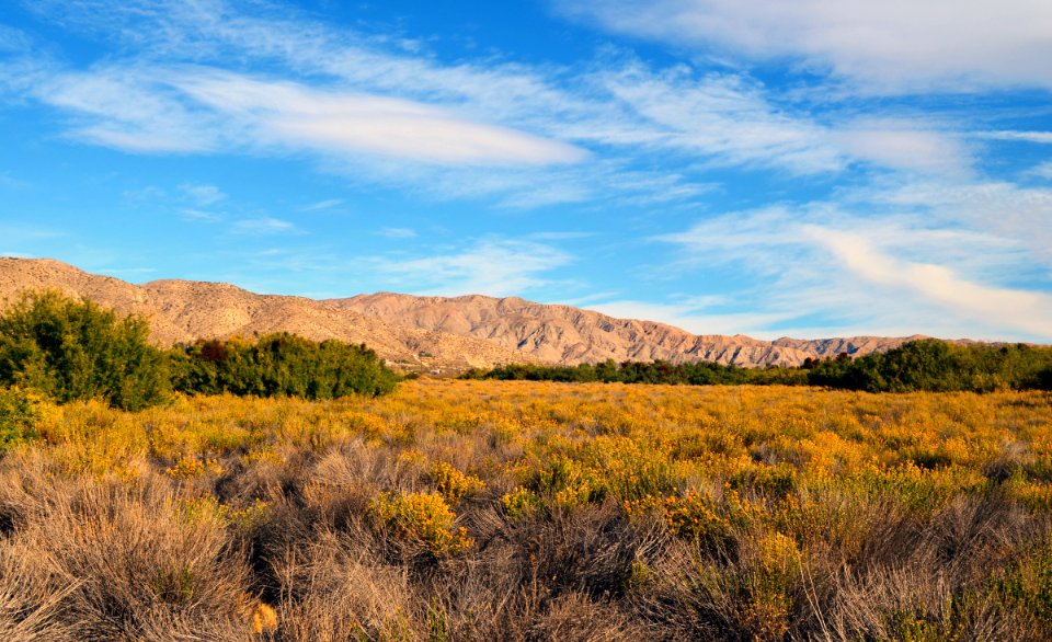 Morongo Valley in Riverside County