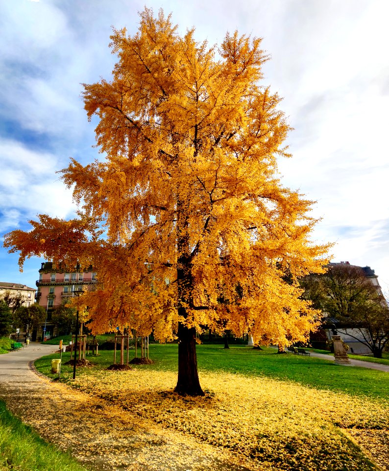 Parc de Saint Jean Genève CH