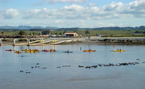 Kayakers at Moss Landing photo