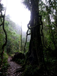 GOOMBURRA NATIONAL PARK