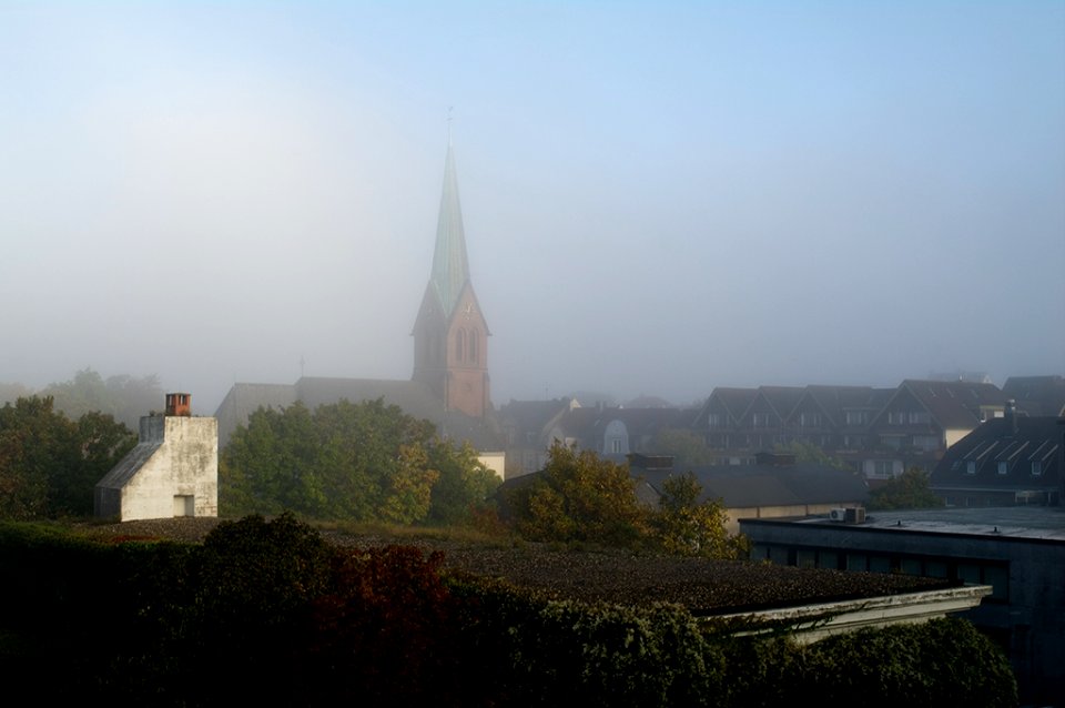misty friday morning