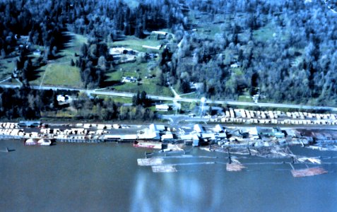 Whonnock Mills 1981 Aerial view
