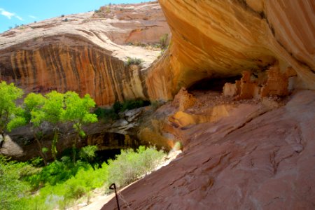Area shaded by rock overhang