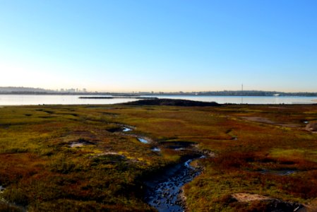 Mission Bay Wetlands in San Diego, Calif. photo