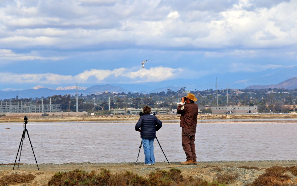 San Diego Bird Festival 2018 at San Diego National Wildlife Refuge